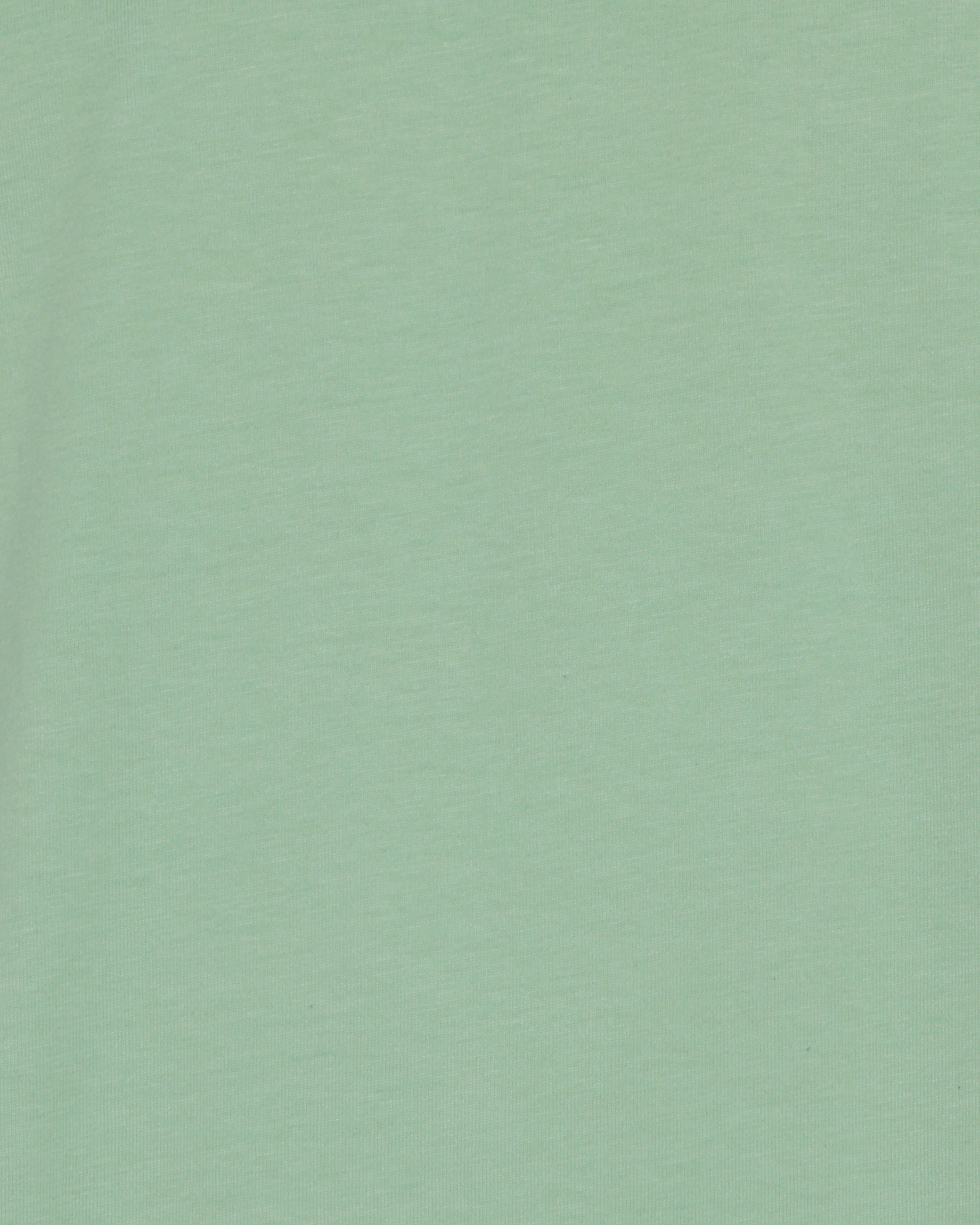 minimum male Aarhus kortærmet t-shirt G029 GOTS Short Sleeved T-shirt 0123 Arcadian Green