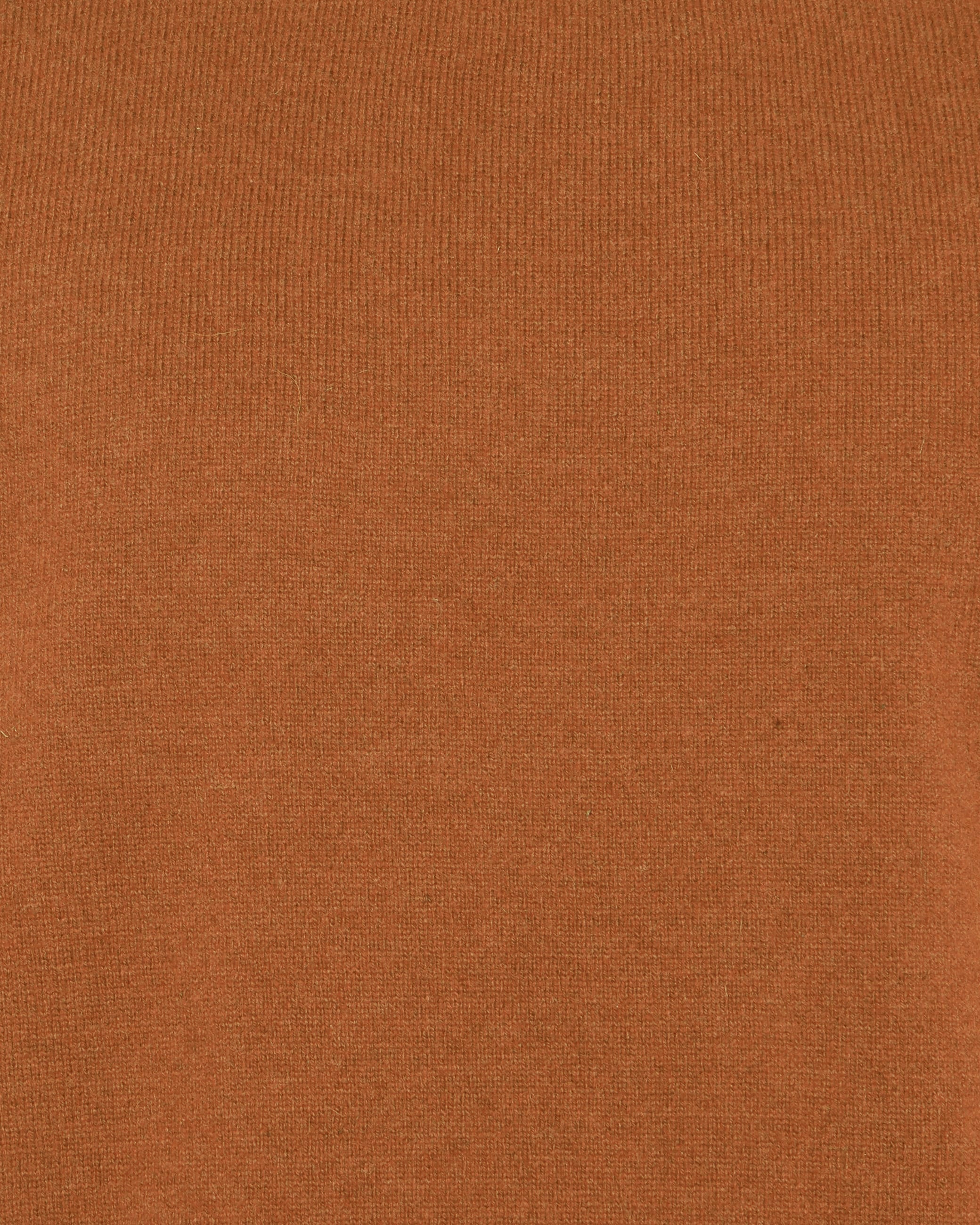 minimum male Roland 9954 Jumper 1137 Cashew