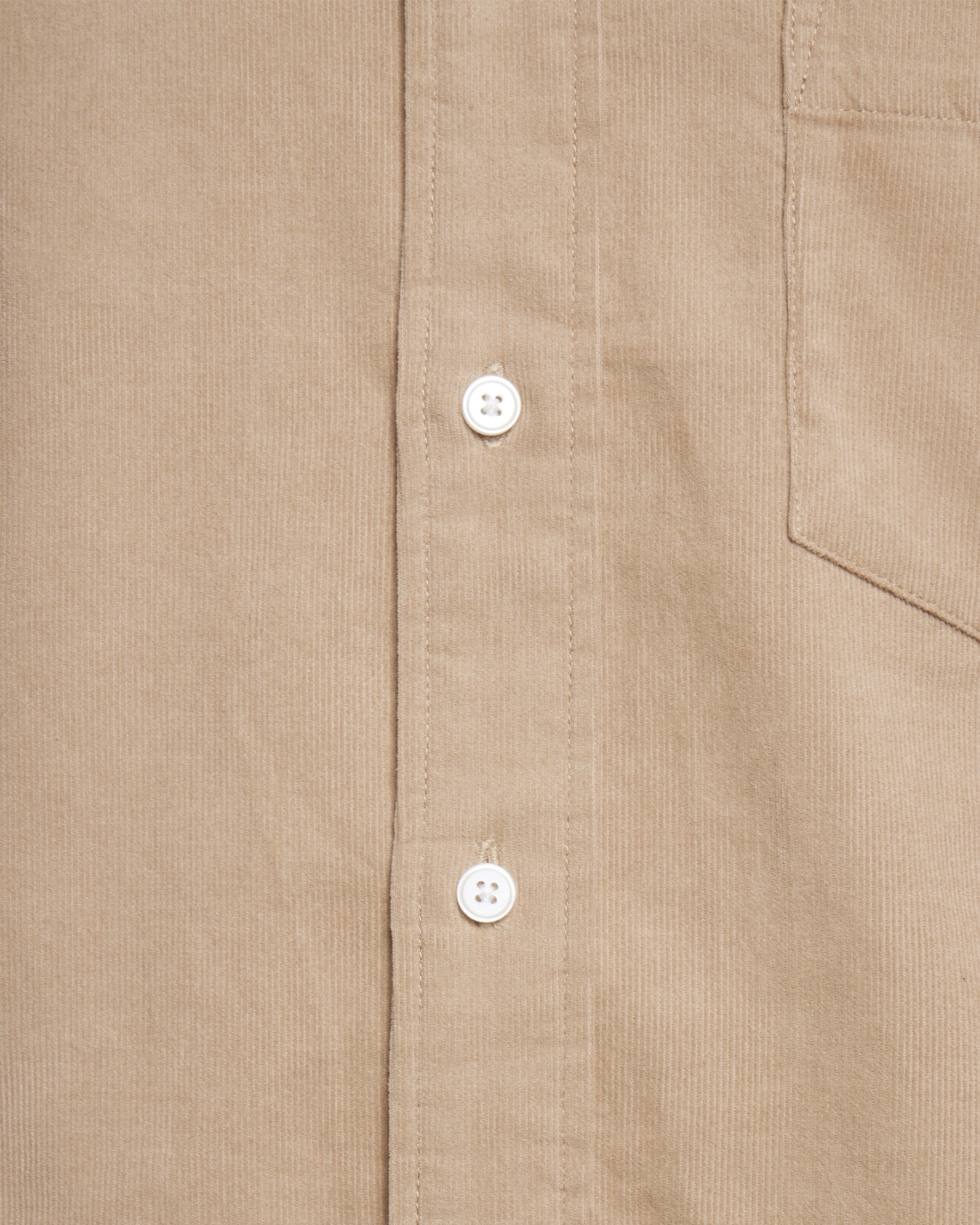 minimum male Colt langærmet skjorte 3758 Long Sleeved Shirt 1109 Chinchilla